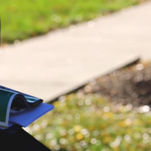 Scientific facts about dogs