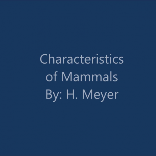 Mammal Characteristics 
