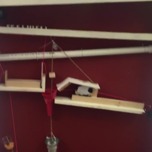 Izzy (Adams) Jess (Sanchez)