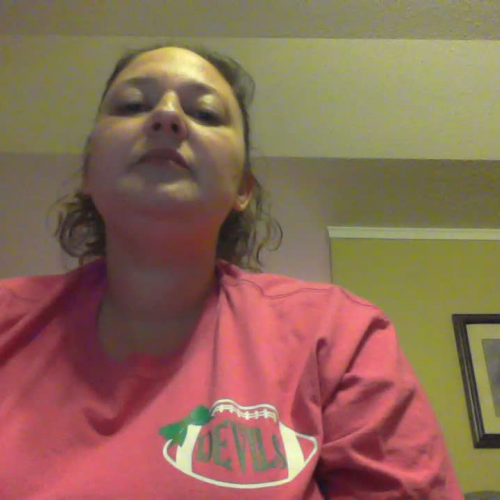 Central Idea and Supporting Evidence