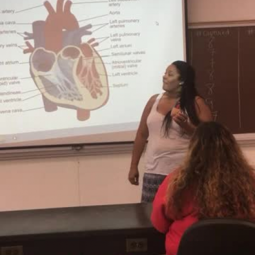 Davis Science Demonstration 2