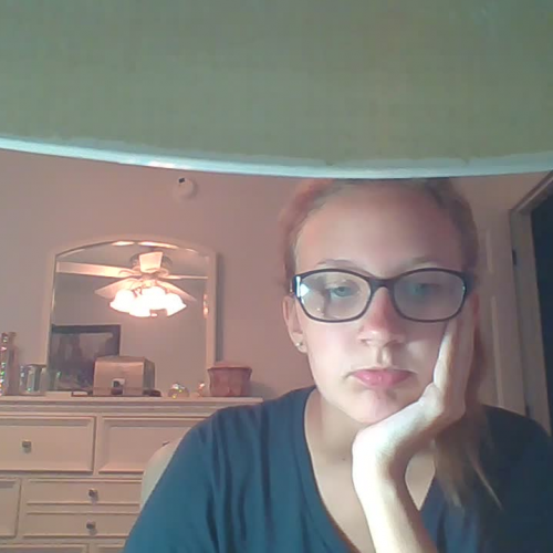 3.02 Describing the Family Presentation.