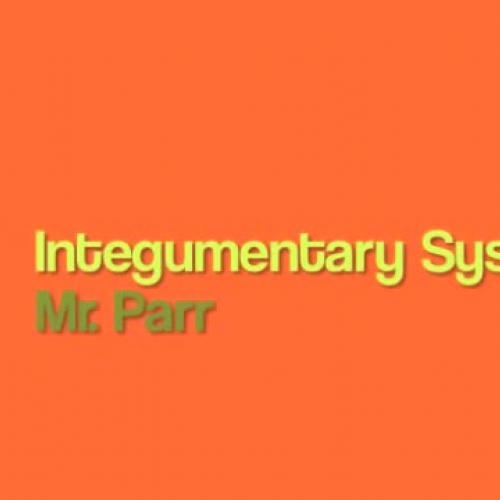 Integumentary System Video