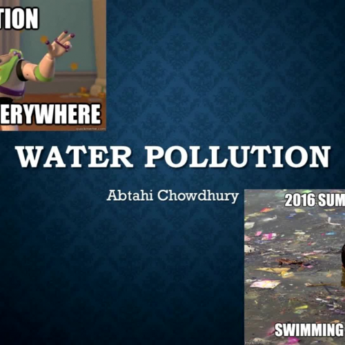 Water Pollution