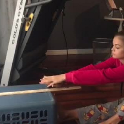 Personal Fitness Video Submission