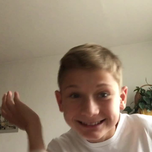 3.02 Describe the family presentation.