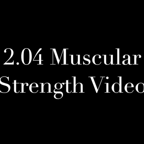 2.04 muscular strength 