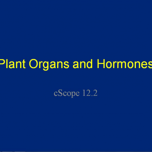 Plant Organs and Hormones Notes