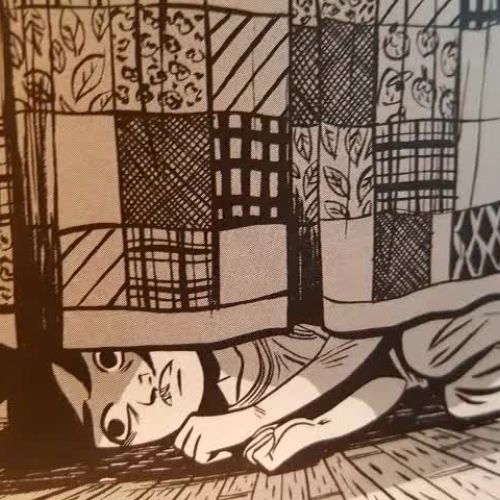 Friends with Boys book trailer