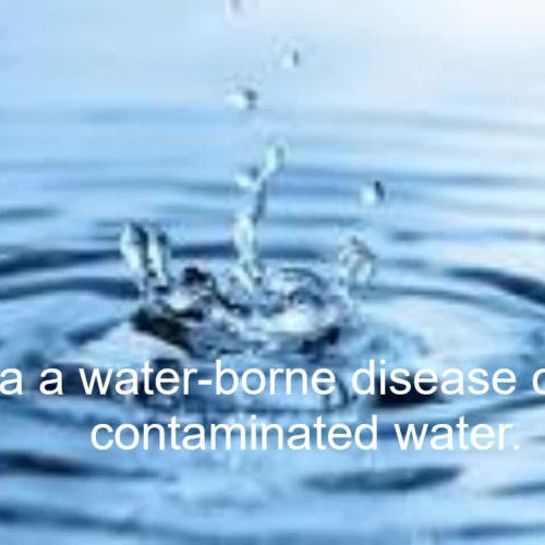 PHSA-Cholera/ Lydia Clements