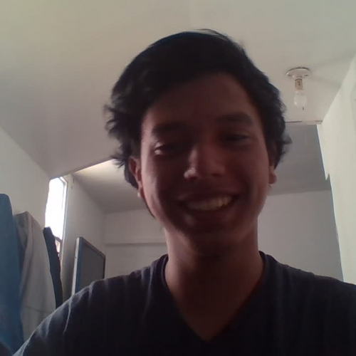 DescribeTheFamilyVisualPresentation