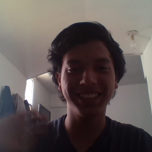 DescribetheFamilyVisualPresentation 