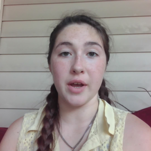 3.02 Describe the Family Visual Presentation