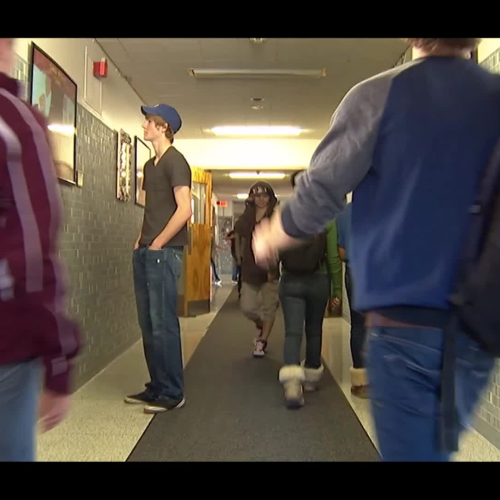 Friends for Life Sample