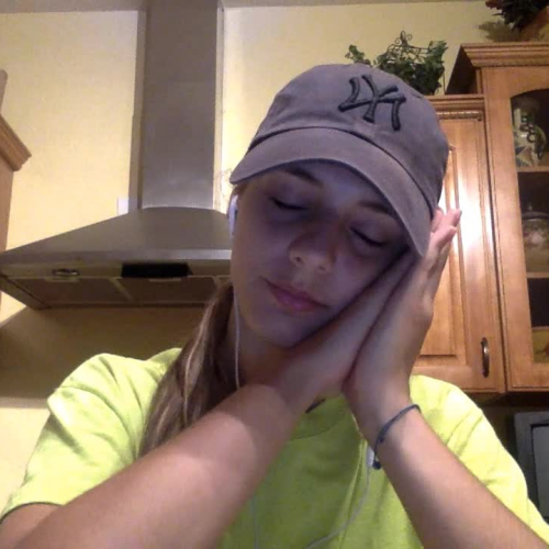 03.02 Describe the Family Visual Presentation