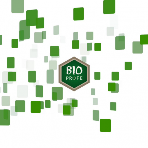 Ejercicios con BioProfe