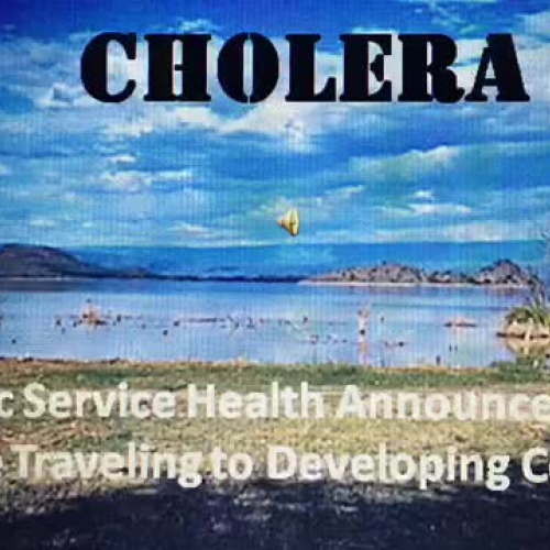 Cholera, A PHSA for Travelers