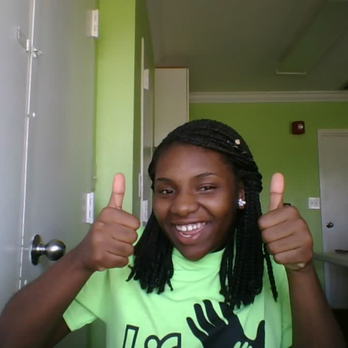 3.02 Describe the family  visual presentation 