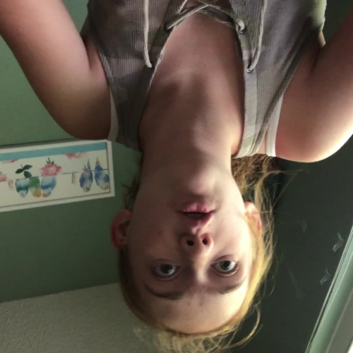 03.02 Describe The Family Visual Presentation