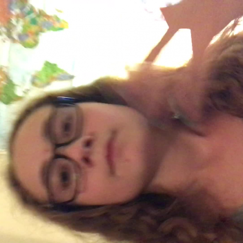 Describing The Family Visual Presentation