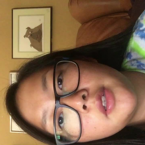 3.02 describe the family visual presentation 