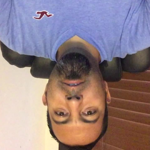 Collaborative Work, Israel Inda