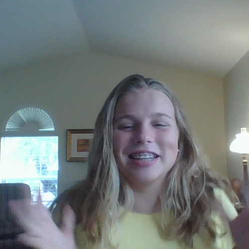 03.02 Describe the family visual presentation