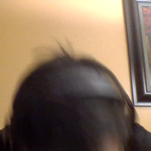 Yo estoy cansado 3.02 Describe the Family Visual Presentation