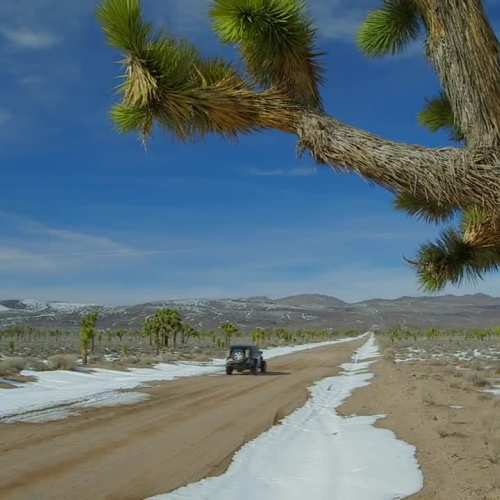 Principles of Curiosity (Teaser)