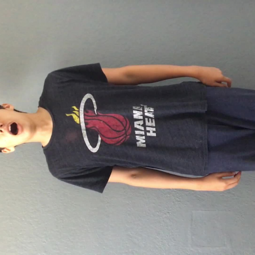 03.02 Describe the Family Visual Presentation