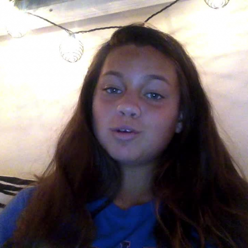 03.02 describe family visual presentation 