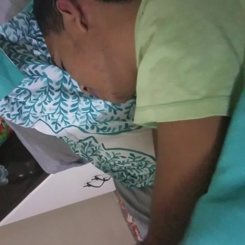  03.02 Describe the Family Visual Presentation