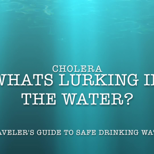 HLT555_Public Service Health Announcement_Cholera