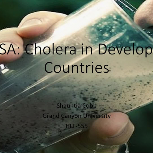 PHSA: Cholera in Developing Countries