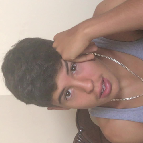 Describe The Family Visual Presentation