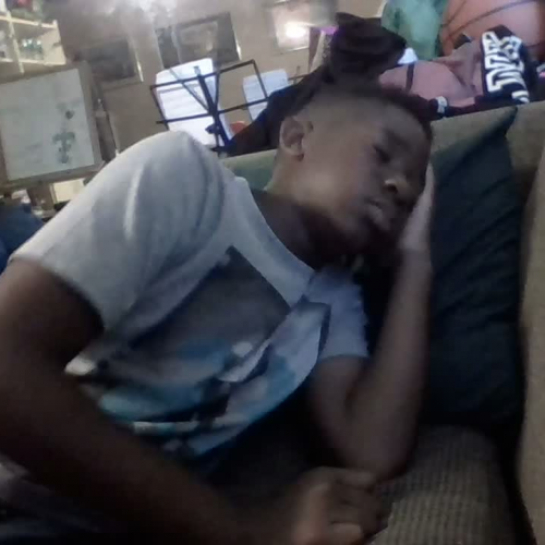 3.02 Describe the Family Video Presentation