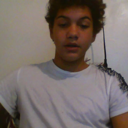 3_02_describing _the_family_visual_presentation