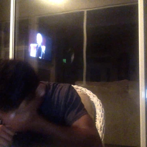 03.02 Describe the Family Visual Presentation