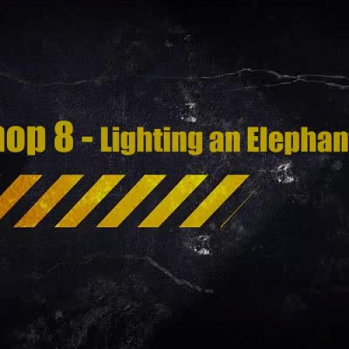 Lighting an Elephant
