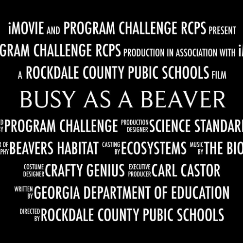 Program Challenge_Quarter 2_3rd Grade Choice