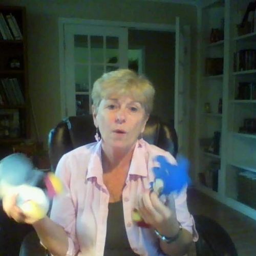 Leslie's Orientation video