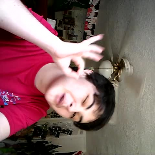 03.02 Describe the Family Visual Presentation