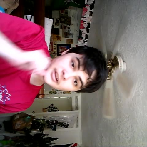 03.02 Describe the Family Visual Presentation 