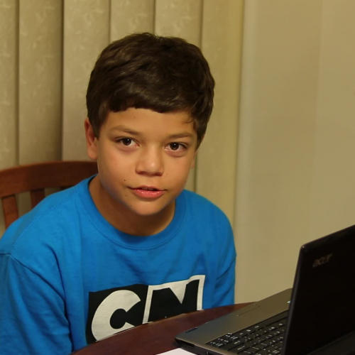 03.02 Describe the Family Visual Presentation