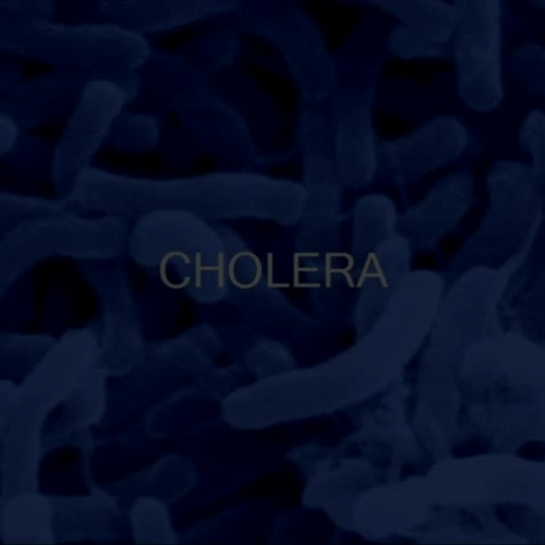 Stacy Leonard, Grand Canyon University, Cholera