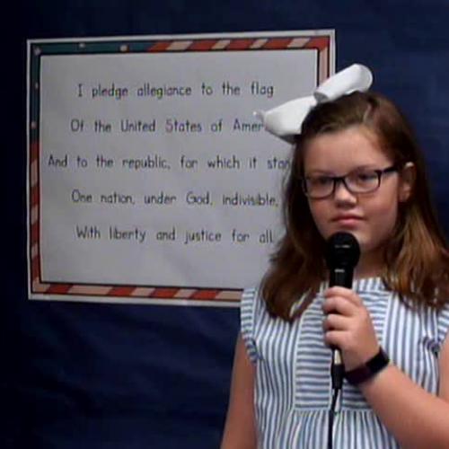 Wednesday, August 23, 2017, WVES Wildcat News