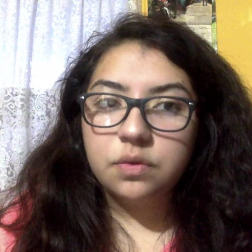 Spanish1 3.02 Describe the family visual assignment