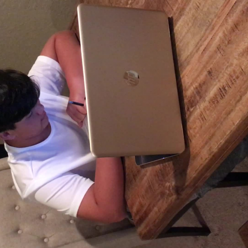 03.02 Describe the Family Visual Presentation