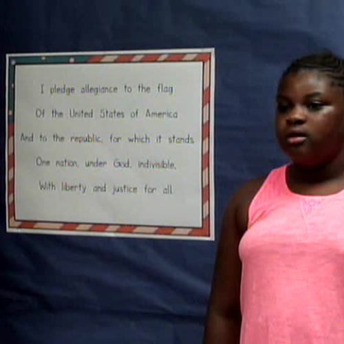 Friday, August 25, 2017, WVES Wildcat News