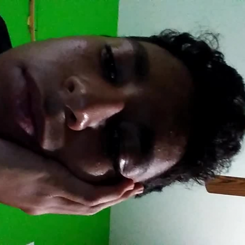 03.02 Describe the Family Visual Presentation